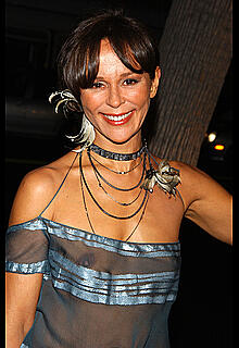 Christine Boisson braless in see through dress
