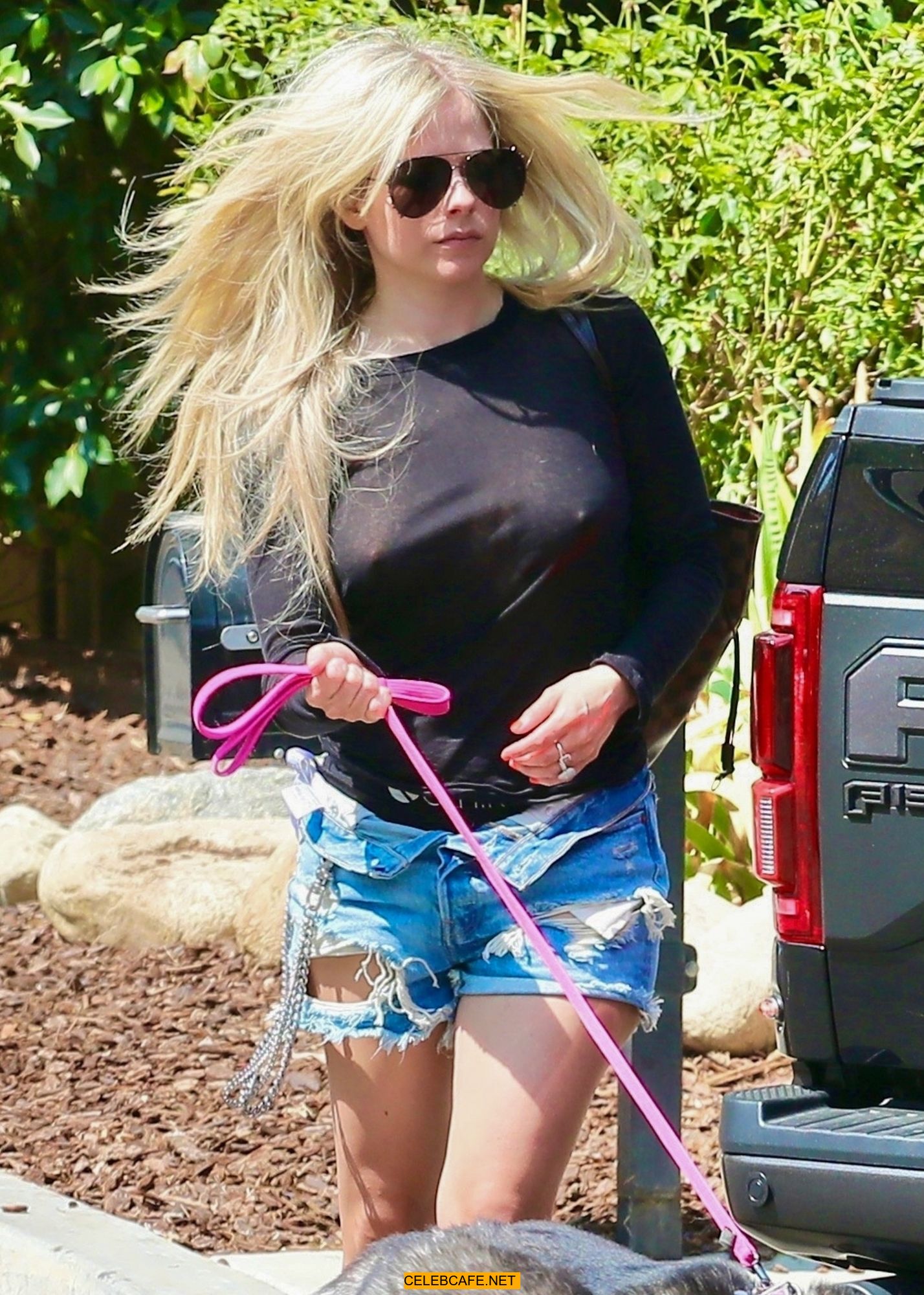 Avril lavigne braless