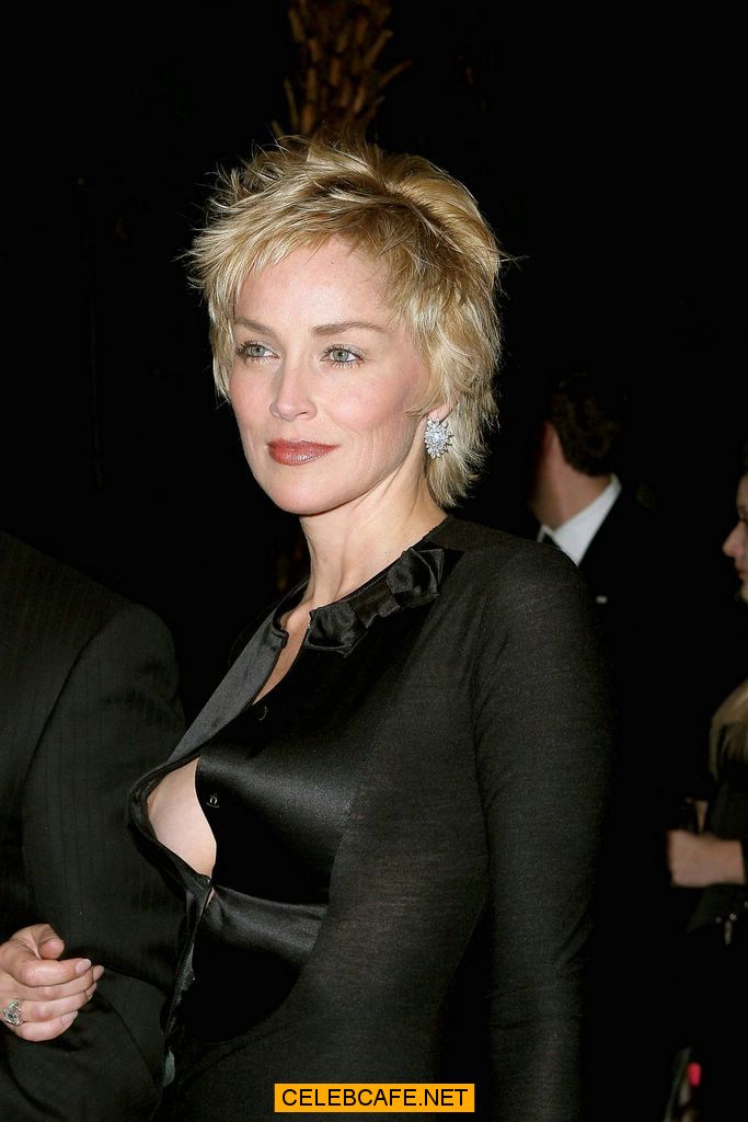 Foto Hard Sharon Stone