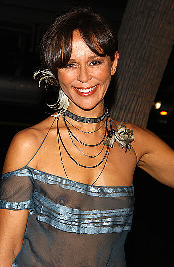 Christine Boisson braless in see through dress
